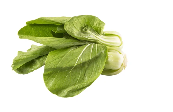 Chinese Cabbage Or Bok Choy — Stock Photo, Image