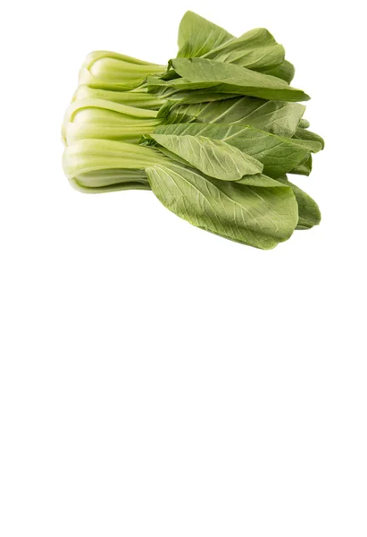 Repolho chinês ou bok choy — Fotografia de Stock