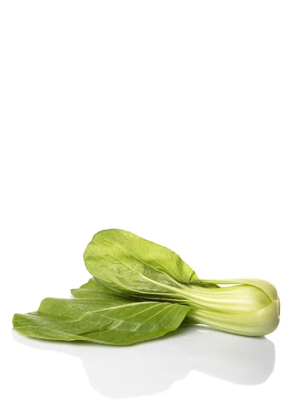 Kinesisk Kål Eller Bok Choy Över Vit Bakgrund — Stockfoto