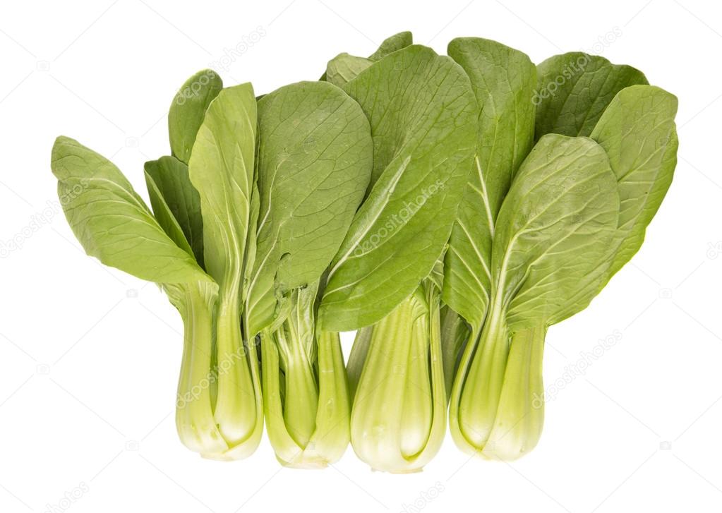 Chinese Cabbage Or Bok Choy