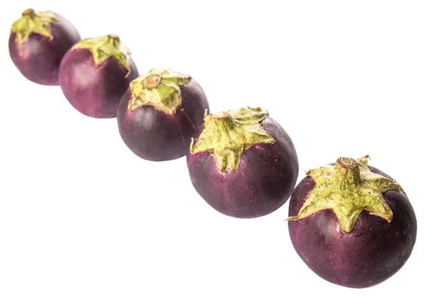 Round Shape Eggplant — Stock Photo, Image