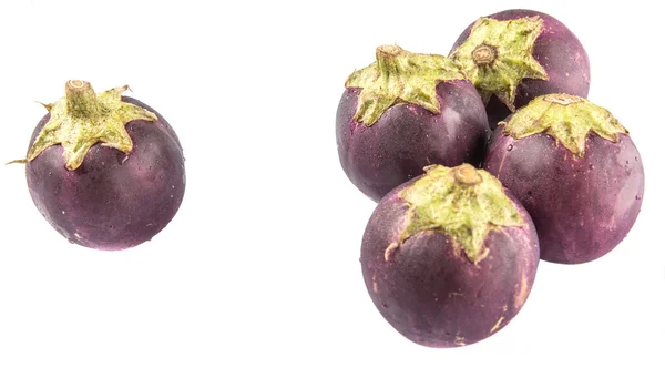 Rund form aubergine — Stockfoto