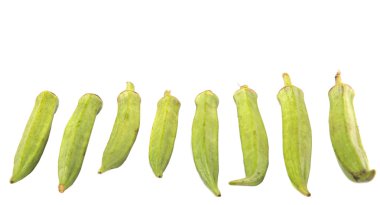 Bamya veya Bayan parmak sebzelerin beyaz arka plan üzerine