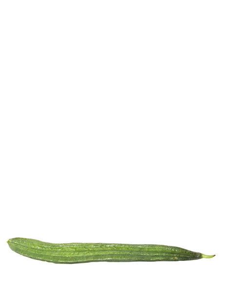 Snake Gourd Vegetable White Background — Stock Photo, Image