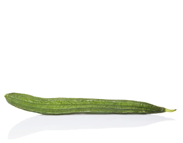 Snake kalebass vegetabiliska — Stockfoto