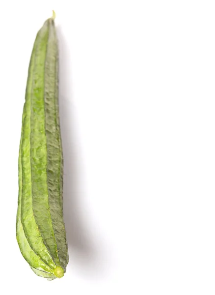 Yılan kabak sebze — Stok fotoğraf