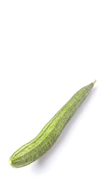 Snake Gourd Vegetable — Stok Foto