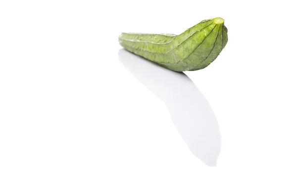 蛇瓜类蔬菜在白色的背景 — 图库照片