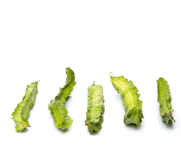 Winged Bean Vegetable White Background — Stock Photo, Image