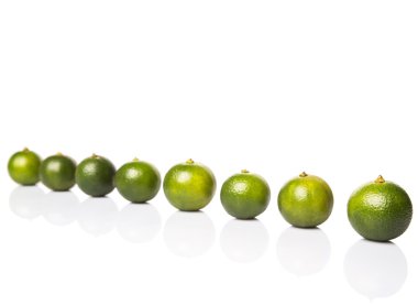 Calamondin veya Calamansi kireç