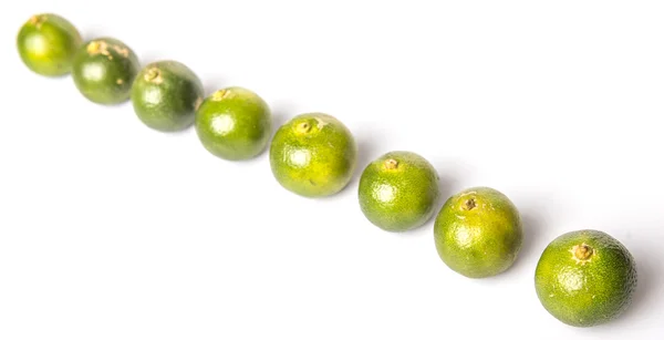 Calamondin ou Calamansi Lime — Photo