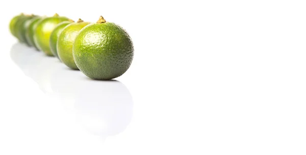 Calamondin eller Calamansi Lime — Stockfoto