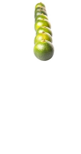 Calamondin Calamansi Lime Witte Achtergrond — Stockfoto