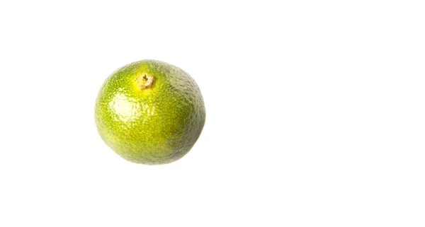 Calamondin atau Calamansi Lime — Stok Foto