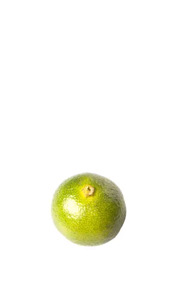 Calamondin of Calamansi Lime — Stockfoto