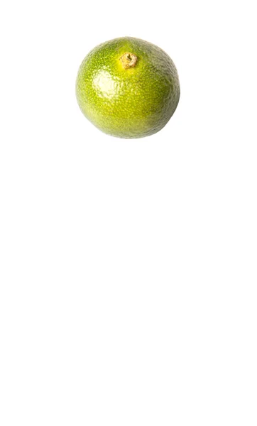 Calamondin Or Calamansi Lime — Stock Photo, Image