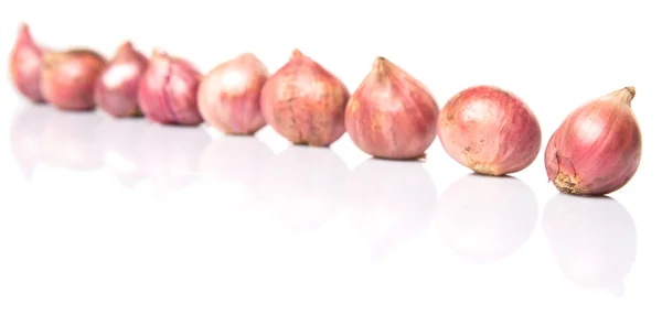 Indian Small Red Onions — Stock Photo, Image