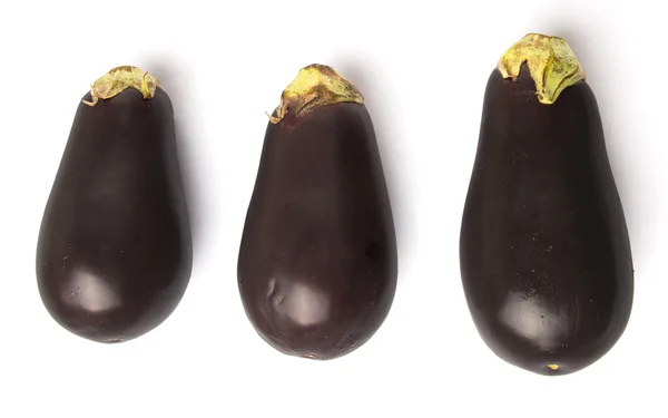 Black Skinned Eggplant — Stock Photo, Image