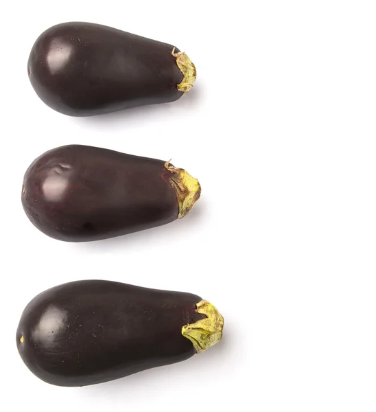 Svart skal aubergine — Stockfoto