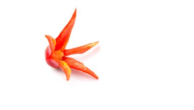 Beyaz arka plan üzerinde kırmızı biber çiçek oyma