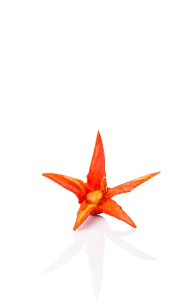 Carved Red Chili Peppers Flower — Stock Photo, Image
