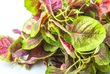 Çin kırmızı ıspanak