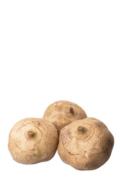 Jicama veya beyaz arka plan üzerinde Meksika yam