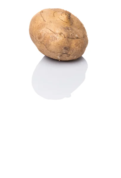 Jicama Or Mexican Yam — Stock Photo, Image