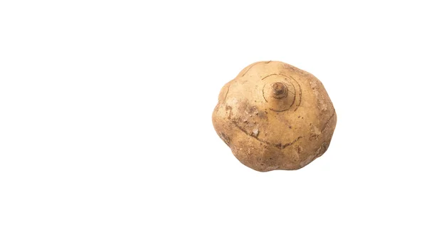 Jicama, nebo mexické Yam — Stock fotografie