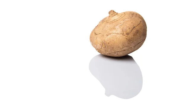クズイモや白い背景の上のメキシコの山芋 — ストック写真