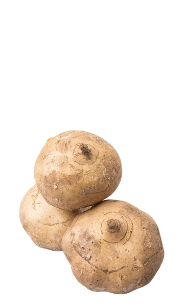 Jicama Oder Mexikanische Süßkartoffeln Auf Weißem Hintergrund — Stockfoto