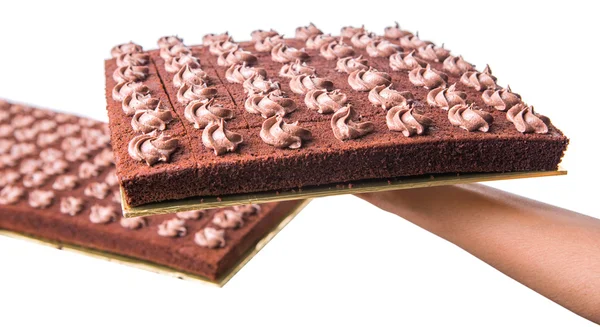 Dort čokoládový list — Stock fotografie