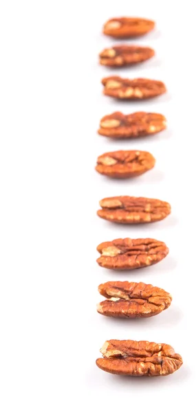 Pecan Nut White Background — Stock Photo, Image