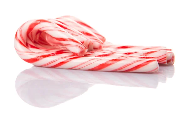 Mindy Candy Cane — Foto de Stock