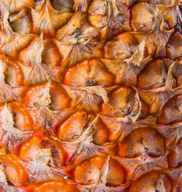 Ananas doku Cilt görünümü kapatın