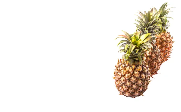 白色背景新鲜菠萝水果 — 图库照片