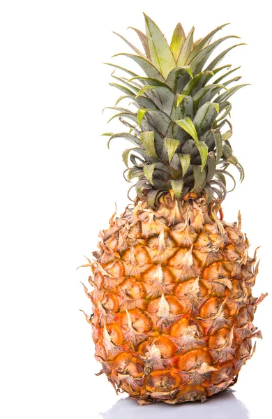 Pineapple Fruit White Background Royalty Free Stock Images