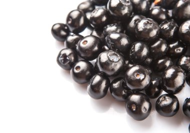 Blaeberry veya Bilberry