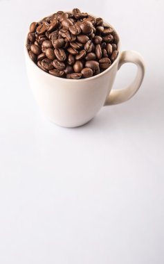 Kavrulmuş kahve çekirdekleri beyaz kupa