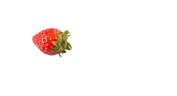 Fresas Sobre Fondo Blanco — Foto de Stock