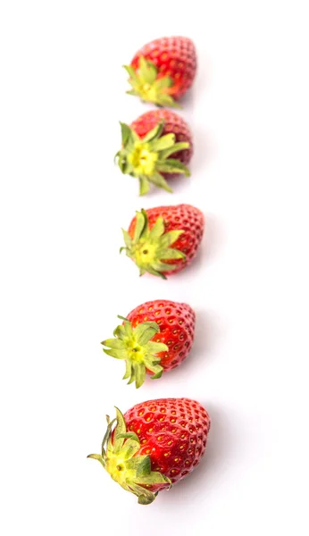 Strawberries Fruits — Stock Photo, Image