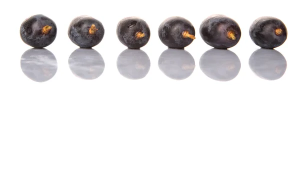 Black Grapes Fruit — Stock Photo, Image