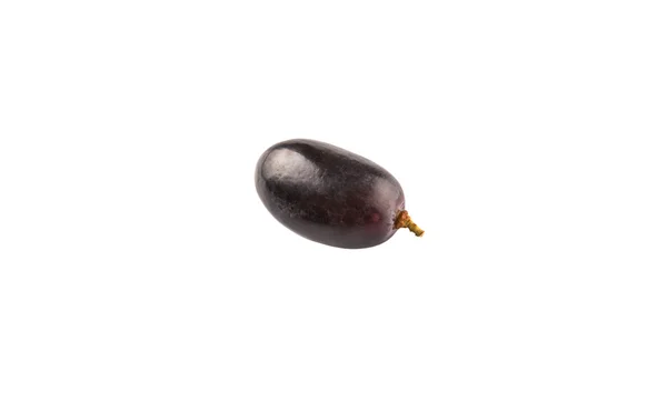 黑葡萄水果 — 图库照片