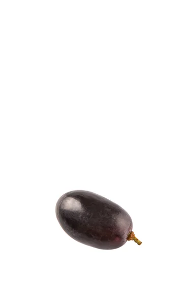 Black Grapes White Background — Stock Photo, Image