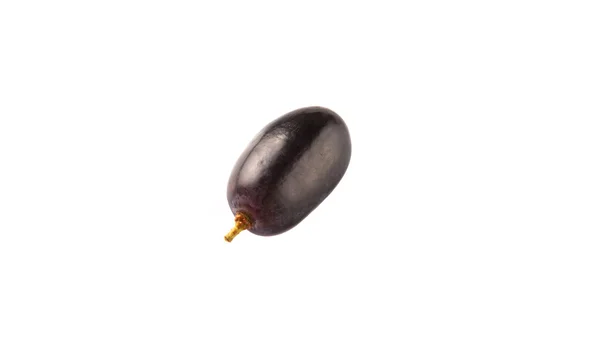 Owoce czarne winogrona — Zdjęcie stockowe