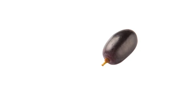 黑葡萄水果 — 图库照片