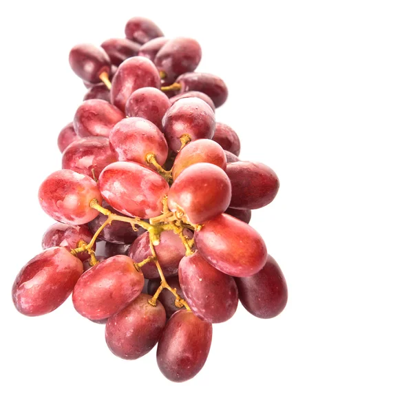 Rote Traubenfrucht — Stockfoto