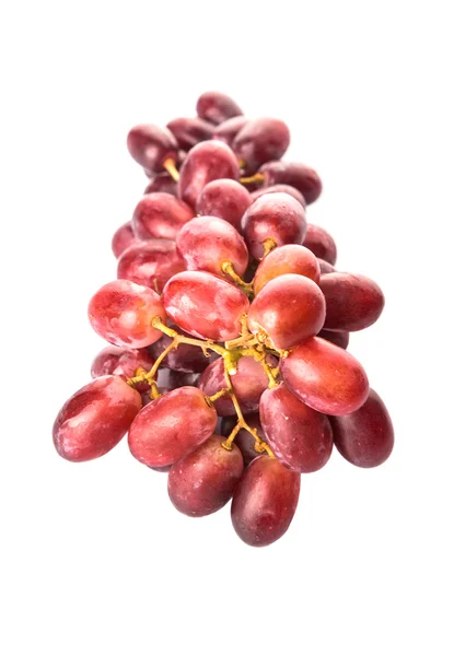 Frutos de uva roja — Foto de Stock