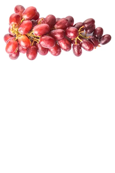 Raisins Rouges Fruits Sur Fond Blanc — Photo