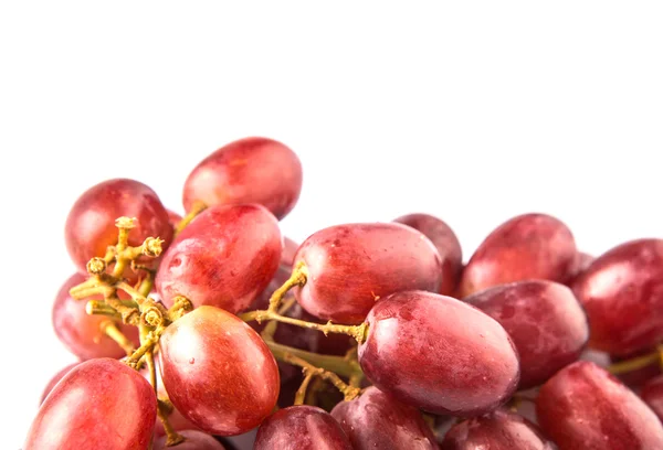 Rote Traubenfrucht — Stockfoto